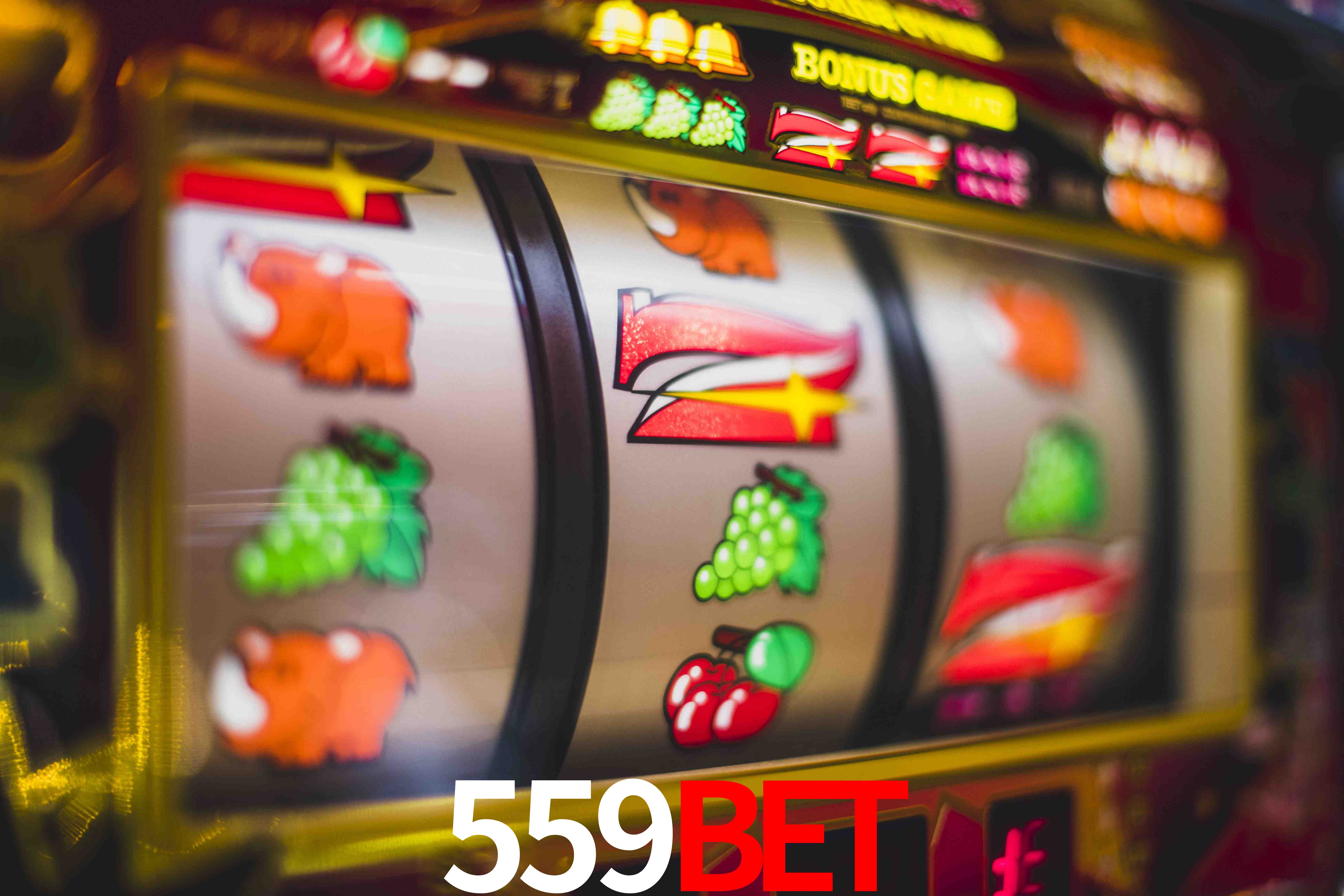 VIP Casino 559bet